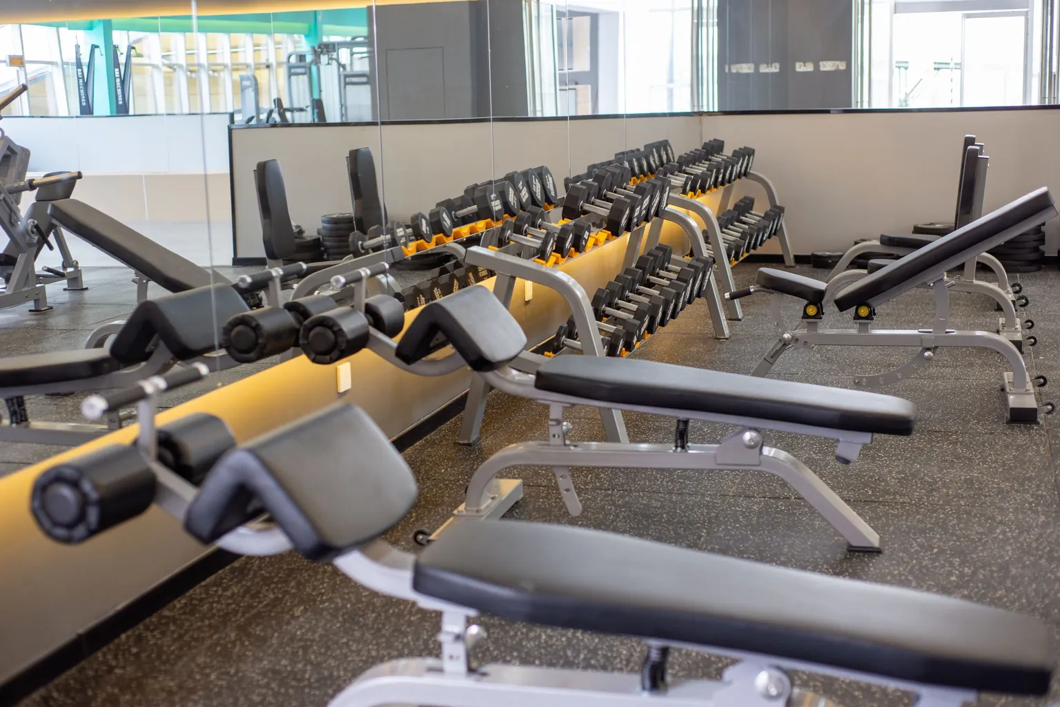 Bancs de musculation réglables alignés devant des râteliers d'haltères dans une salle de sport